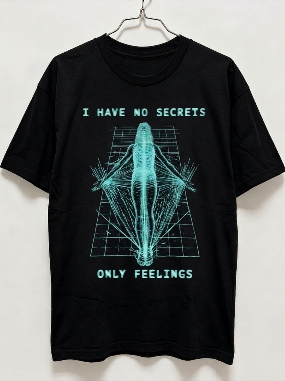 Phoebe Bridgers The Lost Tour 2026 I Have No Secrets Only Feelings T-Shirt